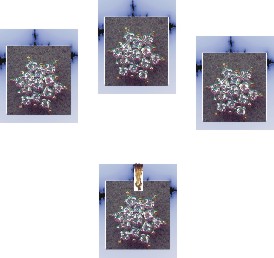 set5
